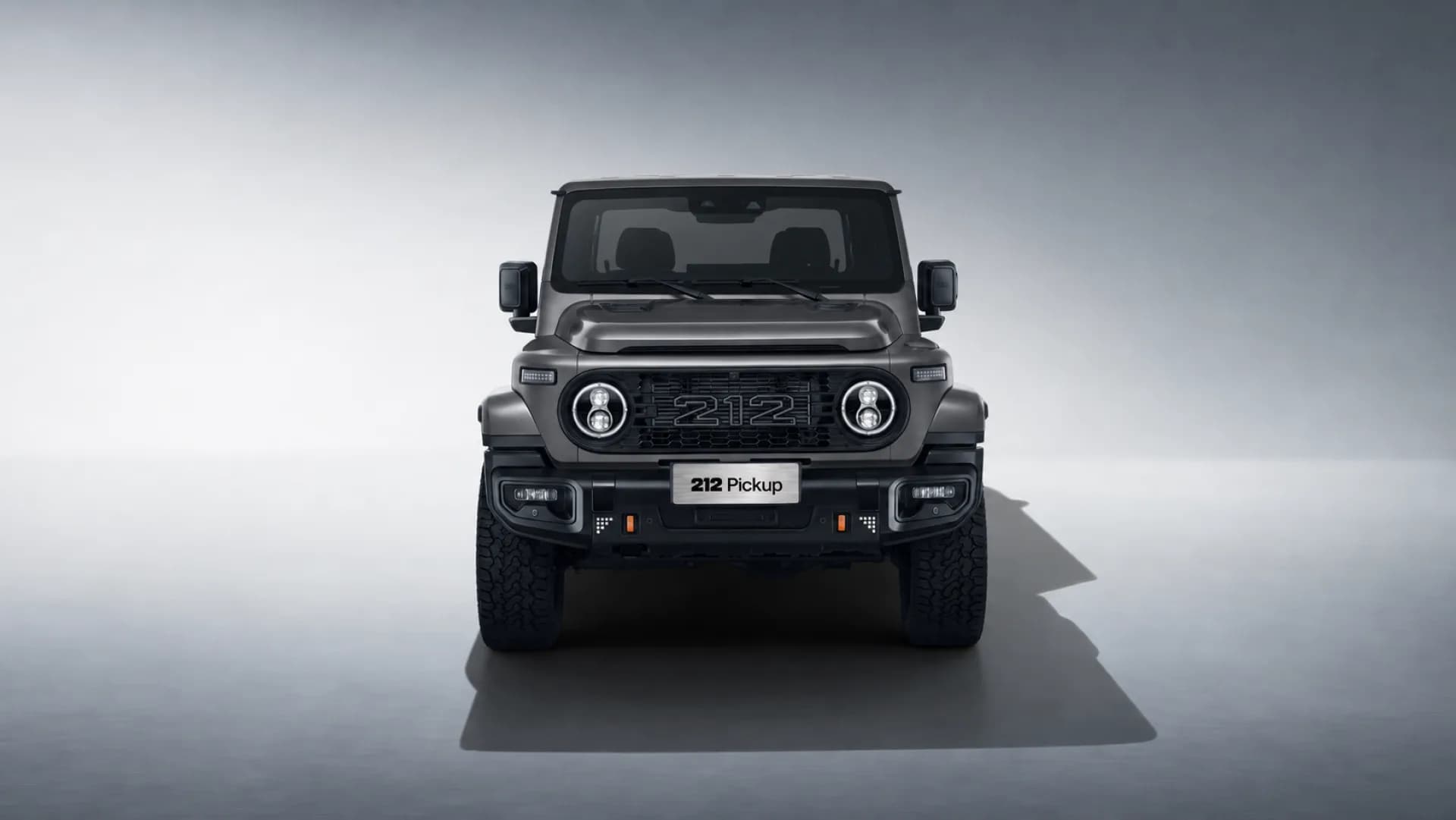 BAW 212 Pickup — pilt 3